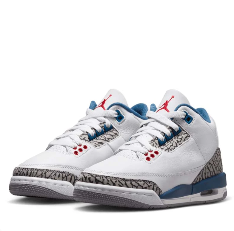 Air Jordan White & Blue Sneakers with Elephant-Print Details and Red Accents