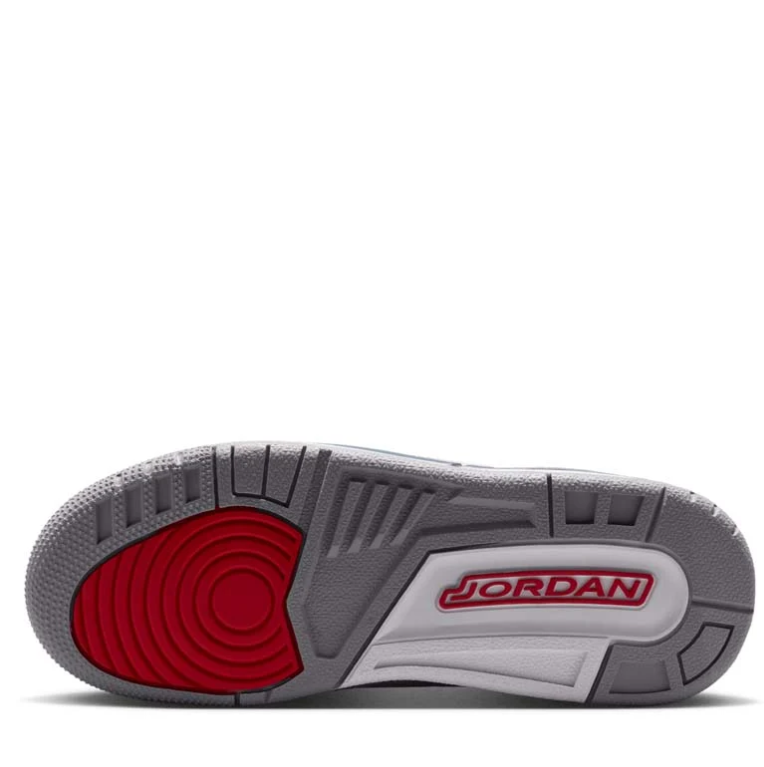 Air Jordan White & Blue Sneakers with Elephant-Print Details and Red Accents